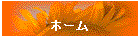 z[